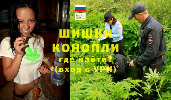 шишки Костерёво